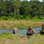 Chitwan Tour